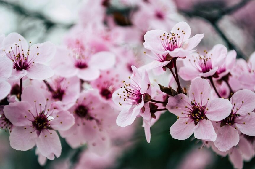 website growth through linking